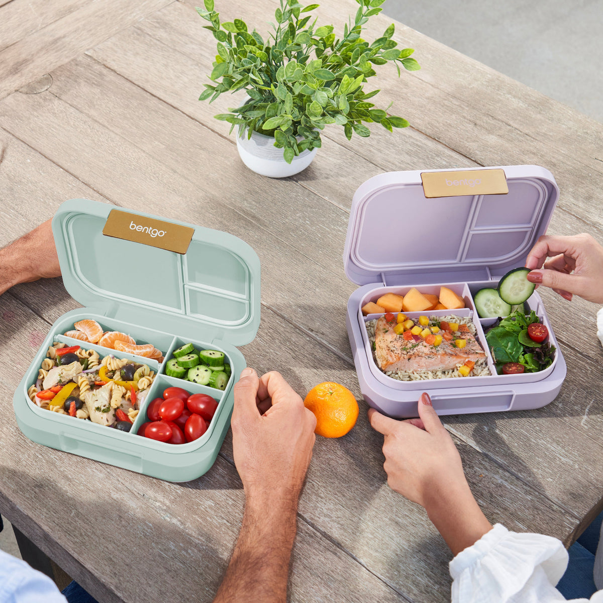 bentgo-modern-lunch-box-2-pack-e9 COSTCOBMCPRODUCTIMAGE_2.jpg
